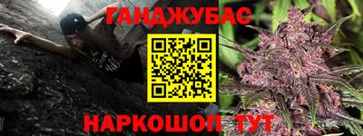 дмт Краснознаменск