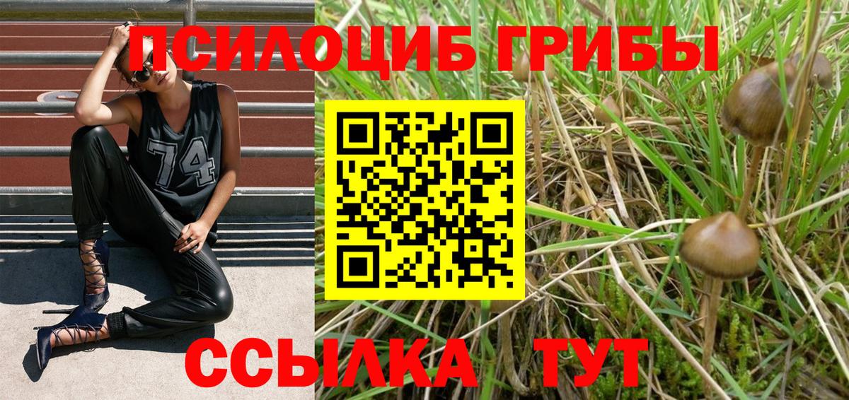 Клинцы  Галлюциногенные грибы GOLDEN TEACHER  Псилоцибиновые грибы ЛСД  Вход с VPN 